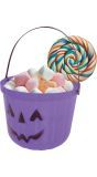Paarse Pompoen Snoepemmer 20cm