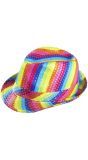 Pailletten Regenboog Fedora