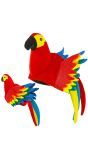 Papegaai Pet Rood Dames Heren