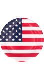 Papieren 'American Party' Bordjes 10 Stuks