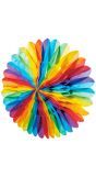 Papieren Meerkleurige Waaier