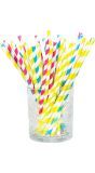 Papieren Rietjes Meerkleurig