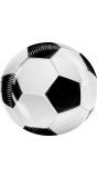 Papieren Voetbal Bordjes 10 Stuks