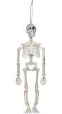 Parelkleurig Skelet Decoratie