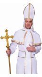 Paus Kostuum Heren