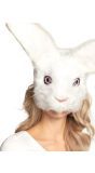 Pluche Half Masker Konijn