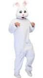 Pluche Konijn Mascotte Kostuum