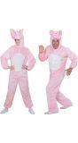 Pluche Varken Kostuum