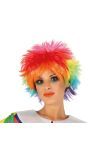 Plukkerige Clownspruik Meerkleurig