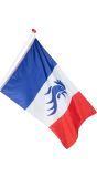 Polyester Vlag 'Allez Les Bleus' 150cm