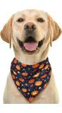 Pompoen Halloween Hond Bandana
