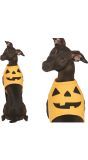 Pompoen Halloween Honden Kostuum Middel
