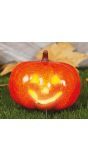 Pompoen met Licht 16cm