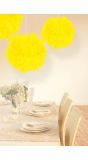 Pompom Decoratie Neon Geel