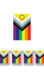 Pride Vlag Feestslinger 2,5M