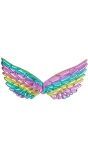 Regenboog engel Vleugels Accessoire