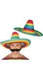 Regenboog Mexicaanse Strohoed