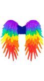 Regenboog Opvouwbare Vleugels Accessoire