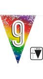 Regenboog Vlaggetjes Cijfer 9