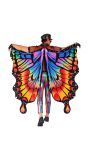 Regenboog Vlindervleugels Cape