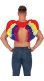 Regenboogkleurige Veren Vleugels