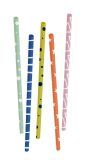 Rietjes Gekleurd met Printje