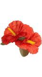 Rode Bloemen Haarclip