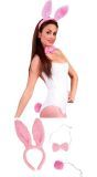 Roze Bunnygirl Accessoire Setje