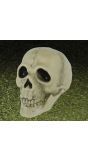 Schedel Decoratie Halloween 13cm
