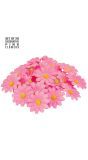 Set van 20 Roze Decoratieve Bloemen