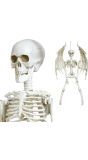 Skelet met Vleugels Hang Decoratie