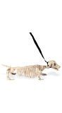 Skeletten Hond met Riem