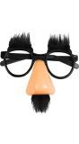 Slapstick Vermom Bril Carnaval