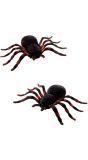Spinnen set 2 Stuks