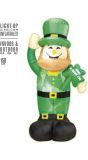 St. Patricks Day Decoratie Opblaasbaar