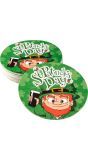 St. Patricksday Themafeest Bier Viltjes