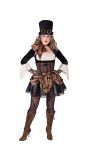 Steampunk Dames Jurk