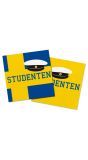 Studentenfeest Servetten 20 Stuks