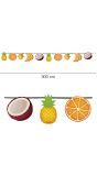 Tropisch Fruit Figuurslinger 3 Meter