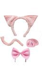 Varkens Accessoires Set