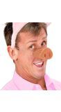 Varkens Neus