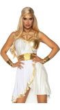 Verleidelijke Griekse Godin Jurk