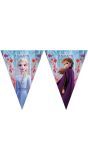 Vlaggenlijn Frozen 2 Kinderfeestje 2 Meter