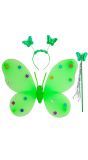 Vlinder Fee Verkleedset Groen