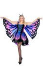 Vlinder Pak Carnaval
