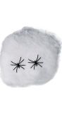 Wit Spinnenweb 20Gr