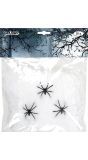 Wit Spinrag Halloween met 3 Spinnen