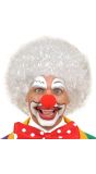 Witte Clown Pruik