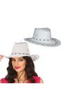 Witte Cowboyhoed Suède Look Volwassenen