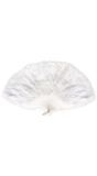 Witte Veren Waaier